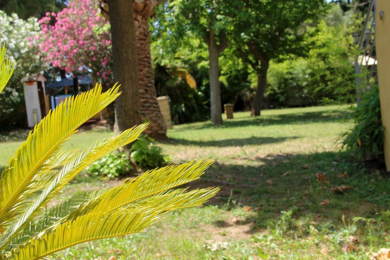 Résidence Les Caraibes *